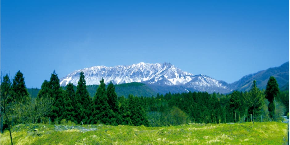 奥大山を遠方から撮った写真 雪のかかった山と緑の木々が見えます